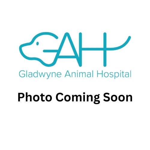 Photo Coming Soon JAMES "LEW" SPRINGER, DVM